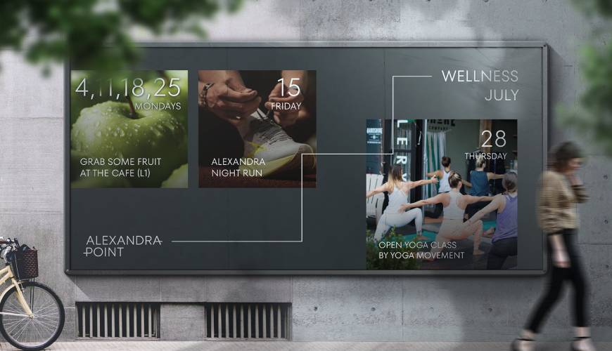 临安市画册设计公司如何进行品牌审核